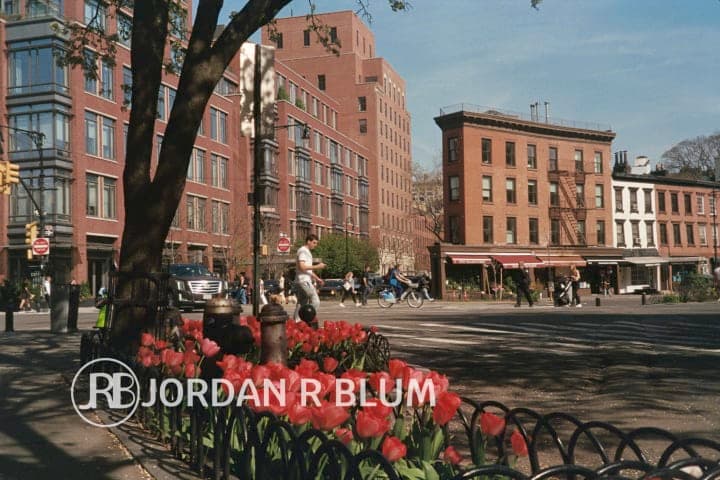 Photograph by Jordan Blum, frame 57